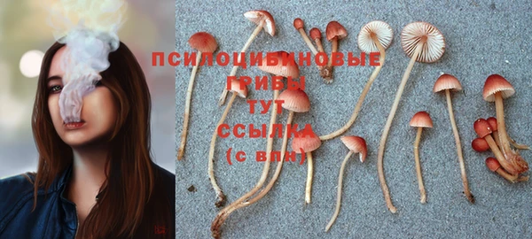стафф Красноперекопск