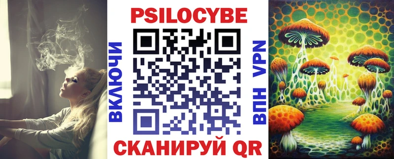 Купить где  Нестеров  Галлюциногенные грибы ЛСД 